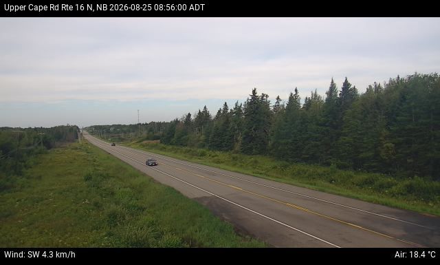 Web Cam image of Upper Cape Road (NB Highway 16)