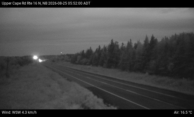 Web Cam image of Upper Cape Road (NB Highway 16)