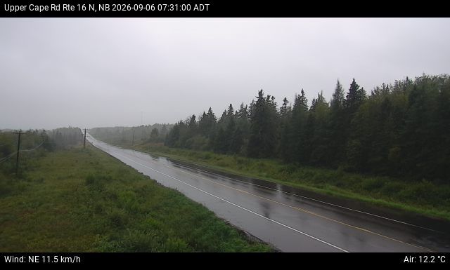 Web Cam image of Upper Cape Road (NB Highway 16)