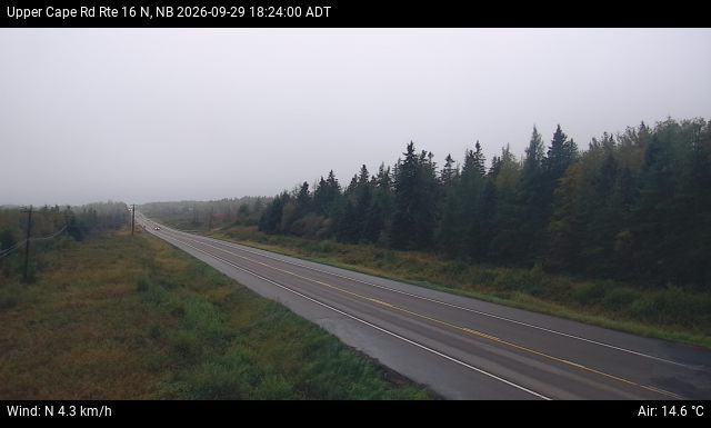 Web Cam image of Upper Cape Road (NB Highway 16)