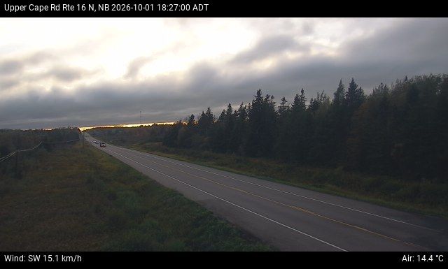 Web Cam image of Upper Cape Road (NB Highway 16)