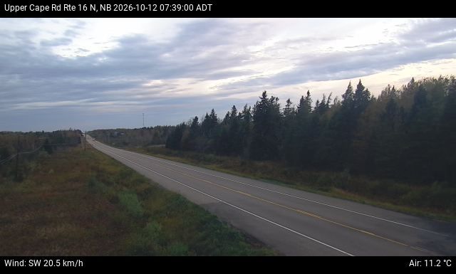 Web Cam image of Upper Cape Road (NB Highway 16)