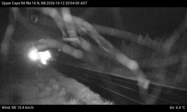Web Cam image of Upper Cape Road (NB Highway 16)