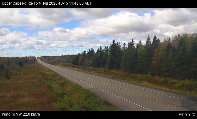 Web Cam image of Upper Cape Road (NB Highway 16)
