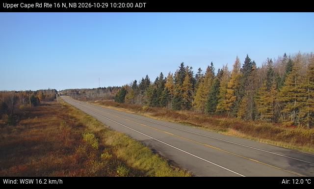 Web Cam image of Upper Cape Road (NB Highway 16)