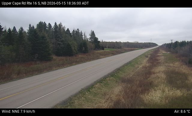 Web Cam image of Upper Cape Road (NB Highway 16)