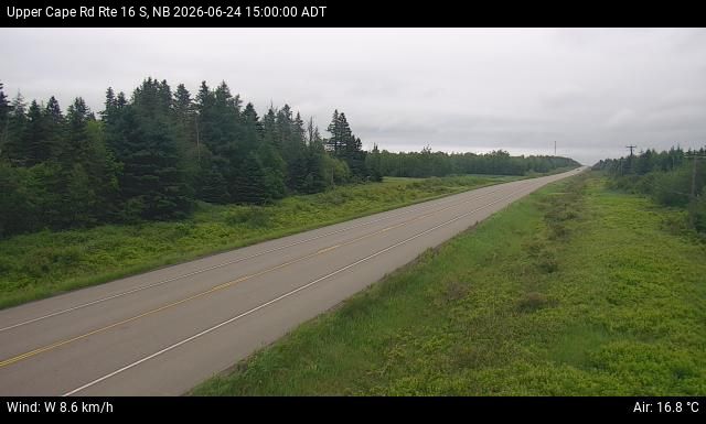 Web Cam image of Upper Cape Road (NB Highway 16)