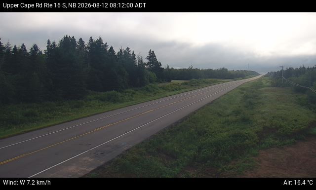 Web Cam image of Upper Cape Road (NB Highway 16)