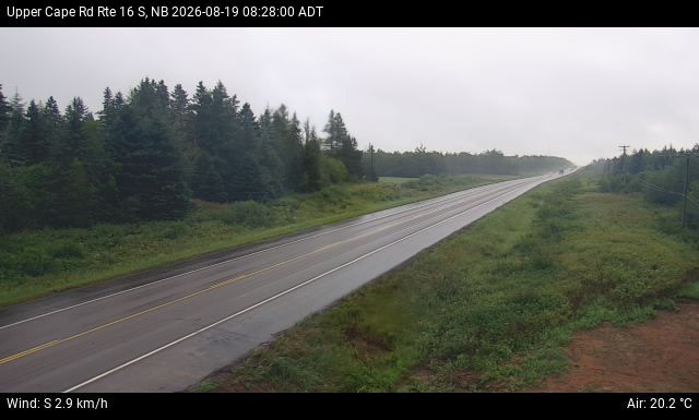 Web Cam image of Upper Cape Road (NB Highway 16)