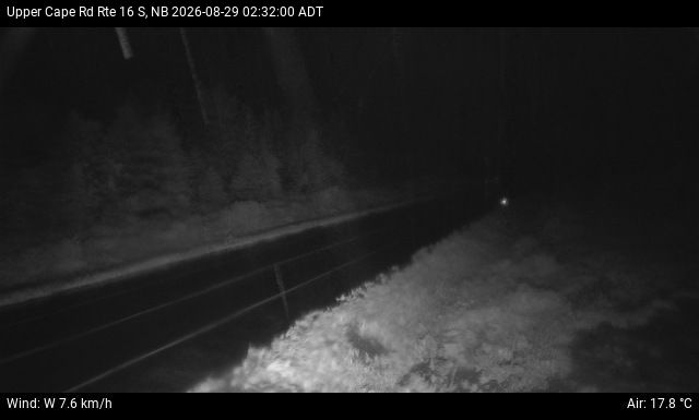 Web Cam image of Upper Cape Road (NB Highway 16)