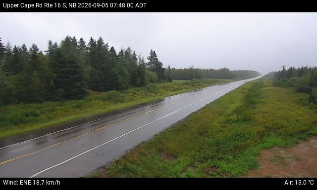 Web Cam image of Upper Cape Road (NB Highway 16)