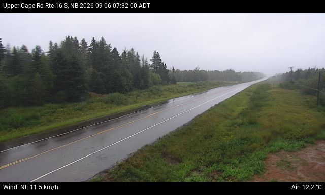 Web Cam image of Upper Cape Road (NB Highway 16)