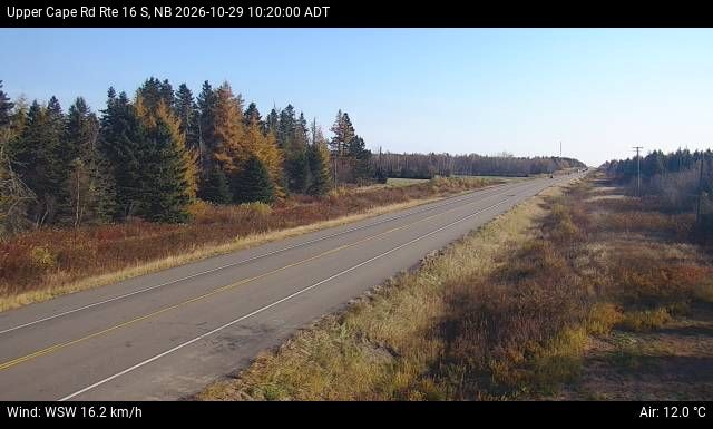 Web Cam image of Upper Cape Road (NB Highway 16)