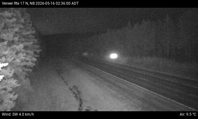 Web Cam image of Veneer (NB Highway 17)