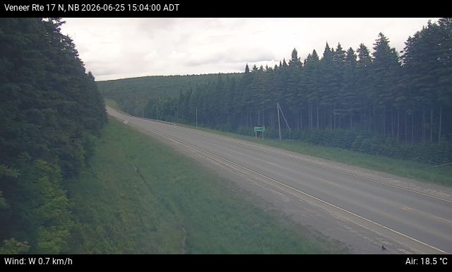 Web Cam image of Veneer (NB Highway 17)