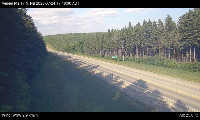 Web Cam image of Veneer (NB Highway 17)