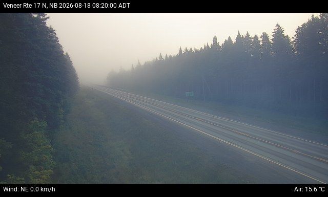 Web Cam image of Veneer (NB Highway 17)