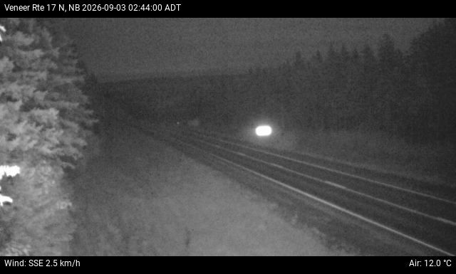 Web Cam image of Veneer (NB Highway 17)