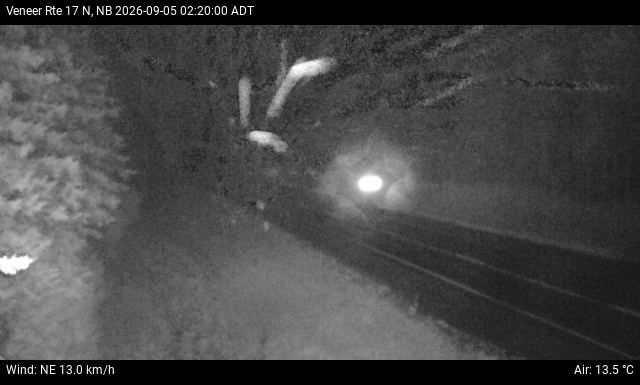 Web Cam image of Veneer (NB Highway 17)