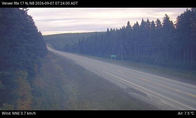 Web Cam image of Veneer (NB Highway 17)