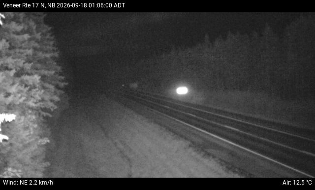 Web Cam image of Veneer (NB Highway 17)