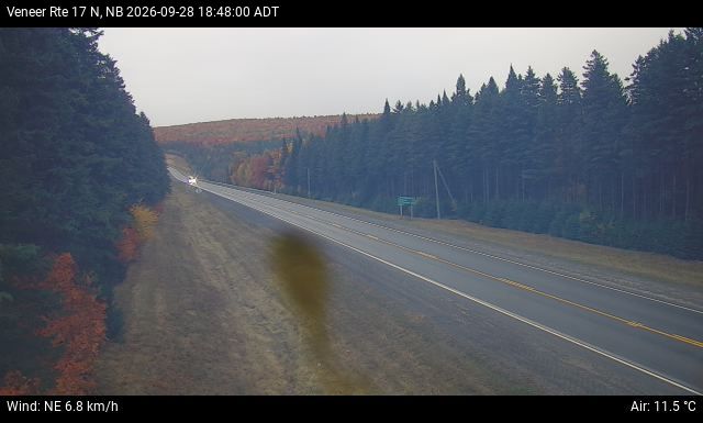 Web Cam image of Veneer (NB Highway 17)