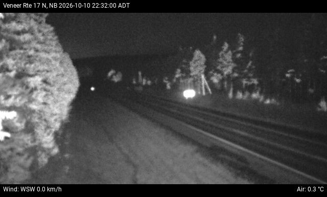 Web Cam image of Veneer (NB Highway 17)