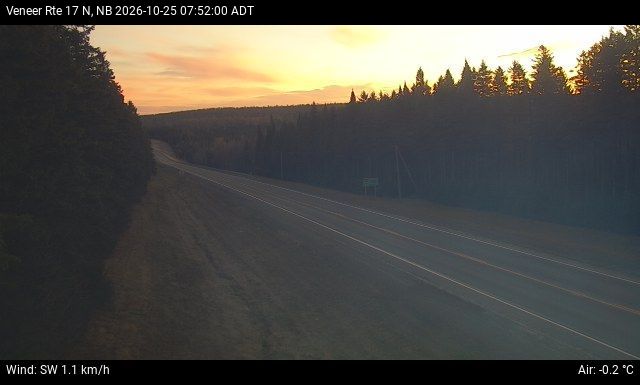 Web Cam image of Veneer (NB Highway 17)