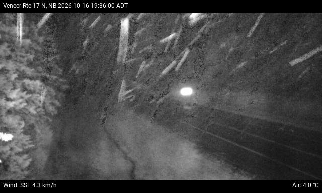 Web Cam image of Veneer (NB Highway 17)
