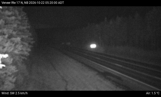 Web Cam image of Veneer (NB Highway 17)