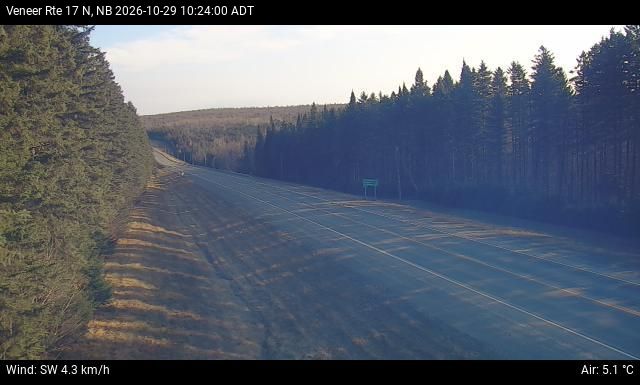 Web Cam image of Veneer (NB Highway 17)