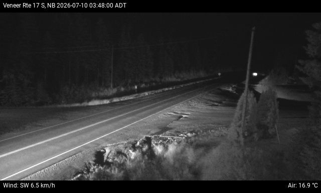 Web Cam image of Veneer (NB Highway 17)
