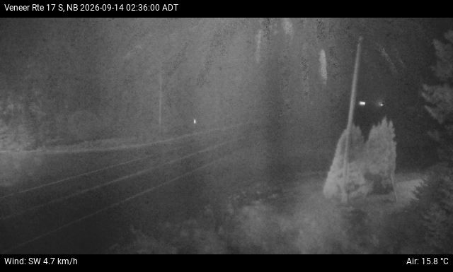 Web Cam image of Veneer (NB Highway 17)