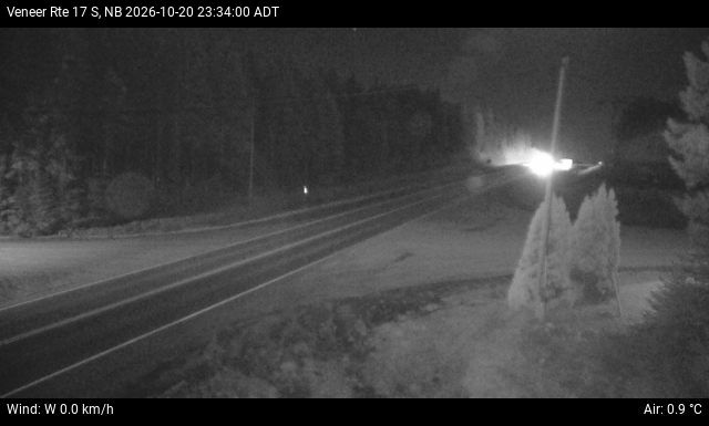 Web Cam image of Veneer (NB Highway 17)