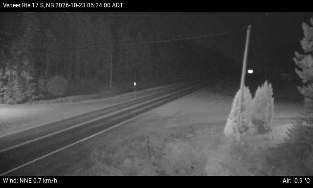 Web Cam image of Veneer (NB Highway 17)
