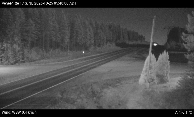 Web Cam image of Veneer (NB Highway 17)