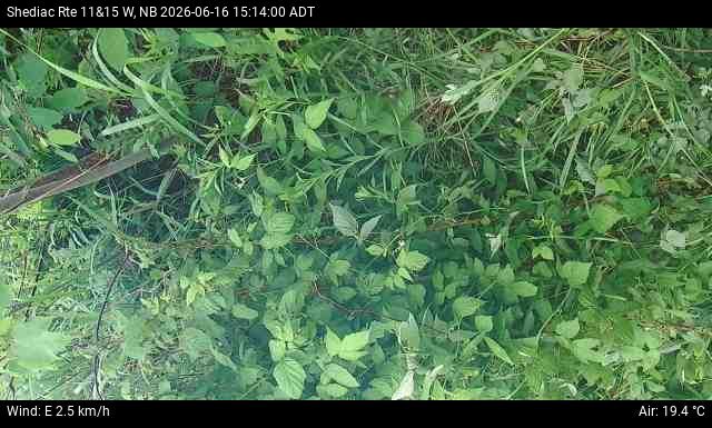 Web Cam image of Shediac (NB Highway 11)