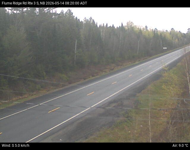 Web Cam image of Flume Ridge (NB Highway 3)