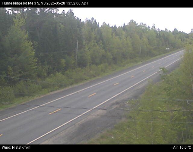 Web Cam image of Flume Ridge (NB Highway 3)
