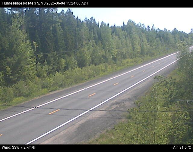 Web Cam image of Flume Ridge (NB Highway 3)