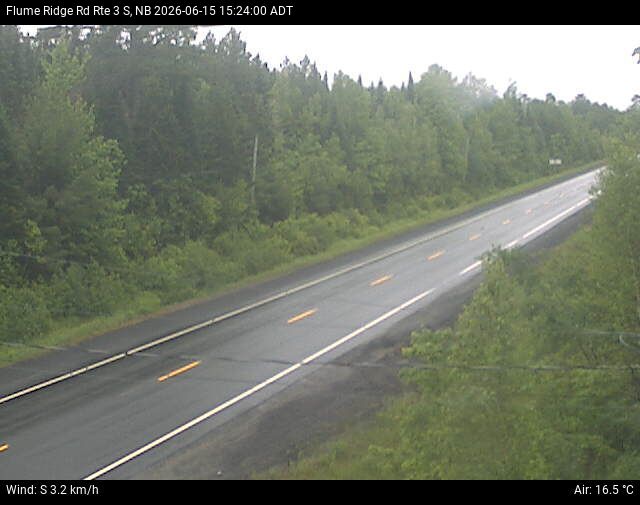 Web Cam image of Flume Ridge (NB Highway 3)
