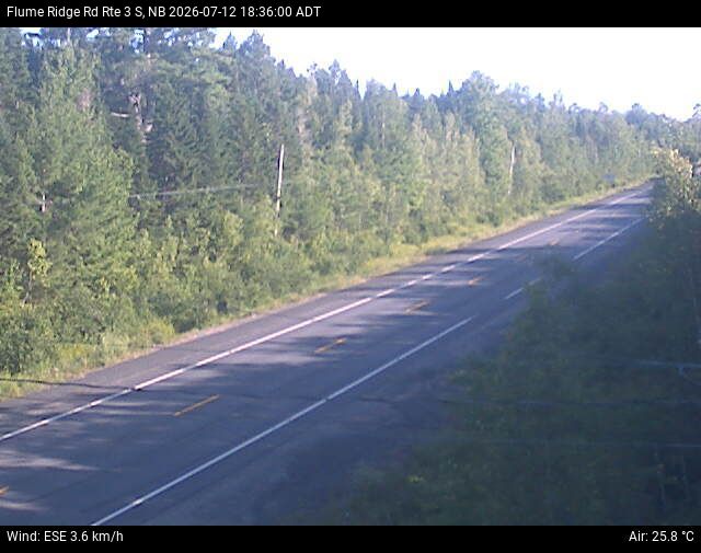Web Cam image of Flume Ridge (NB Highway 3)