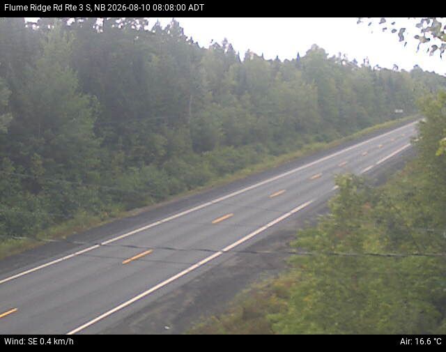 Web Cam image of Flume Ridge (NB Highway 3)