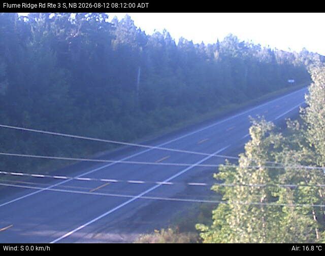 Web Cam image of Flume Ridge (NB Highway 3)