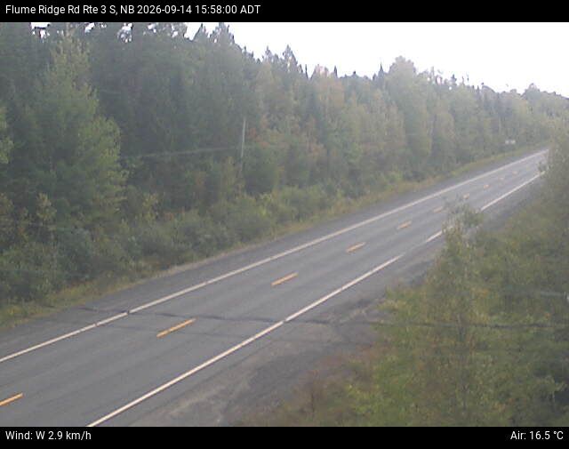 Web Cam image of Flume Ridge (NB Highway 3)