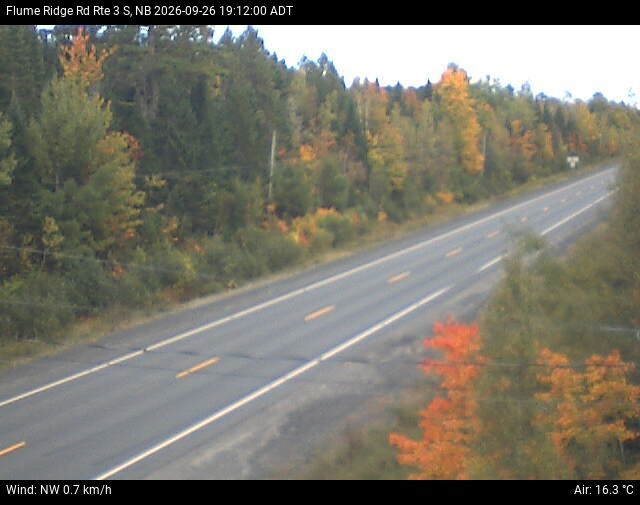 Web Cam image of Flume Ridge (NB Highway 3)