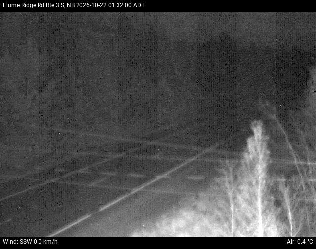 Web Cam image of Flume Ridge (NB Highway 3)