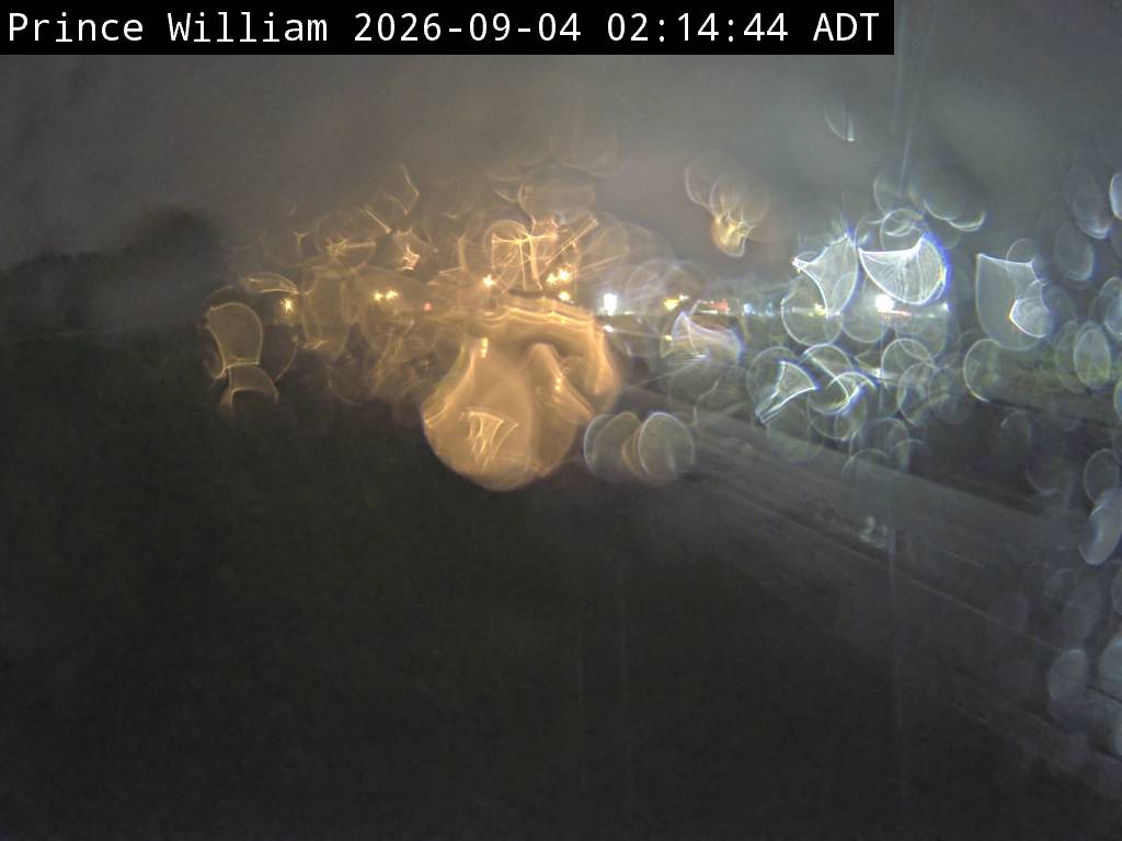 Web Cam image of Prince William (NB Highway 2)
