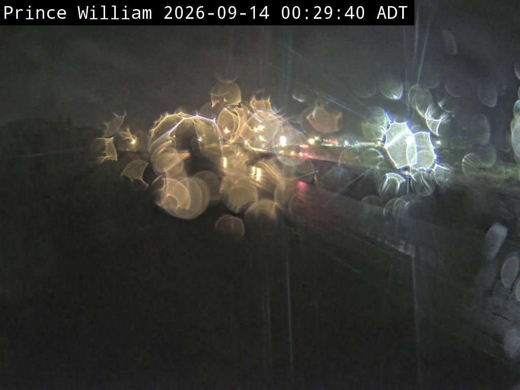 Web Cam image of Prince William (NB Highway 2)