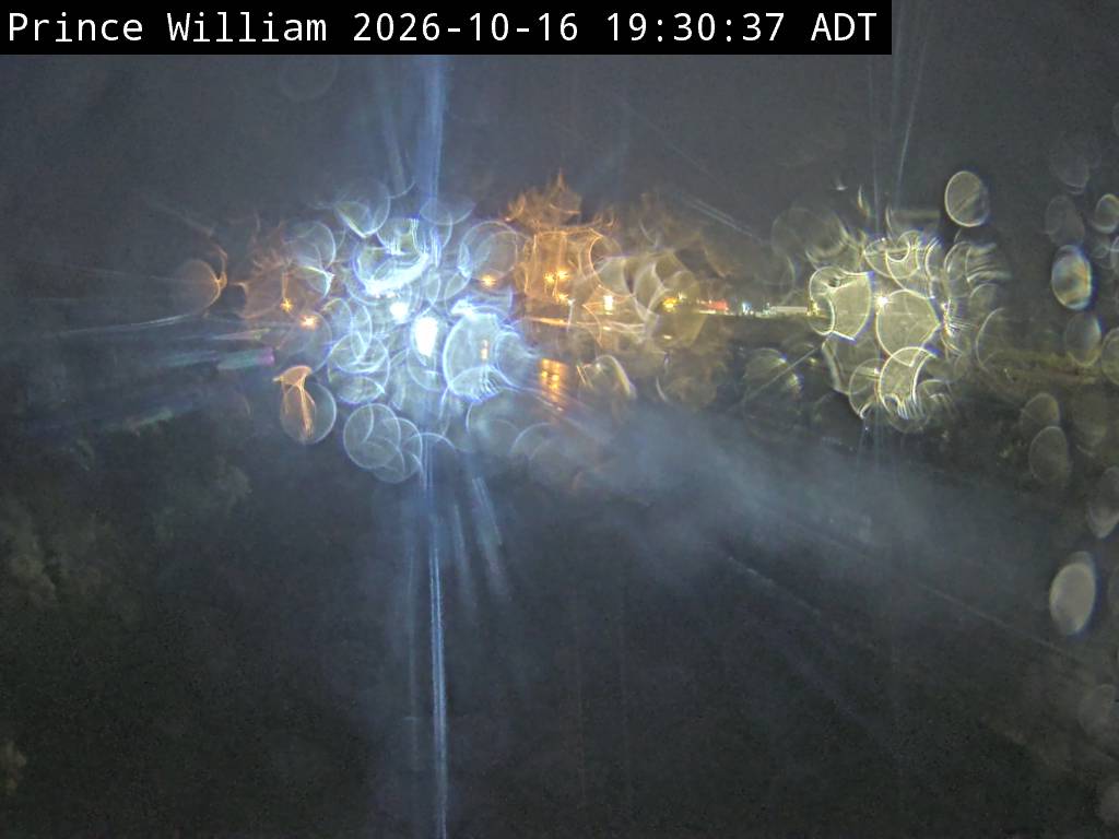 Web Cam image of Prince William (NB Highway 2)